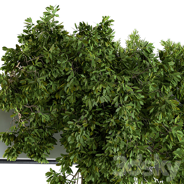 Hanging box plant – Set 70 3DSMax File - thumbnail 3