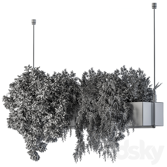 Hanging box plant – Set 70 3DSMax File - thumbnail 5