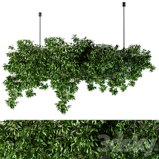 Hanging box plant – Set 72 3DSMax File - thumbnail 1