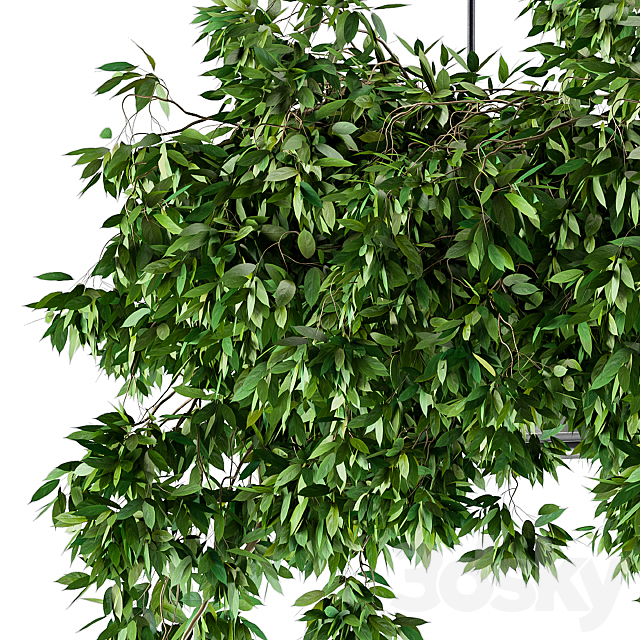 Hanging box plant – Set 72 3DSMax File - thumbnail 3