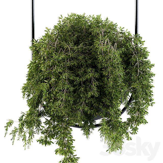 Hanging box plant – Set 83 3DS Max Model - thumbnail 2