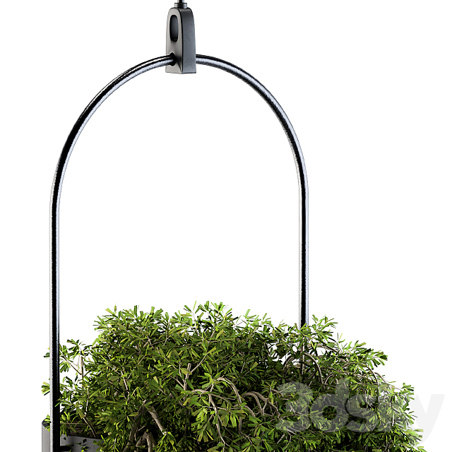 Hanging box plant – Set 83 3DS Max Model - thumbnail 3