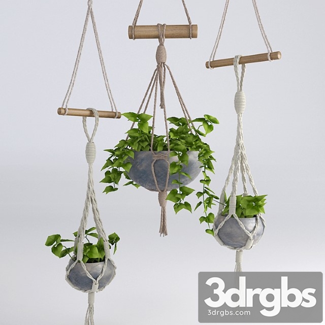 Hanging flowerpots - thumbnail 1