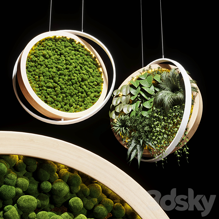 hanging garden and hanging moss in wooden frame 218 3DS Max Model - thumbnail 1