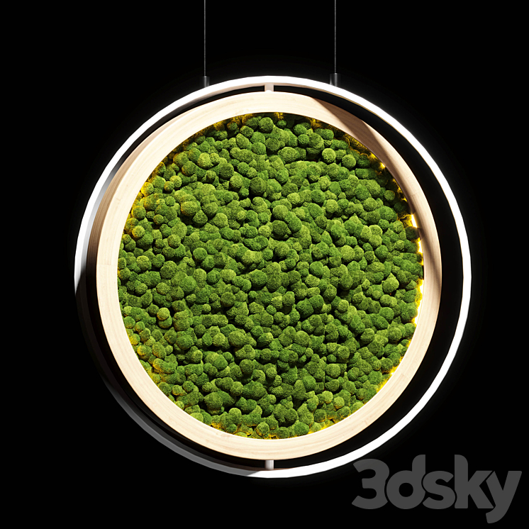 hanging garden and hanging moss in wooden frame 218 3DS Max Model - thumbnail 2