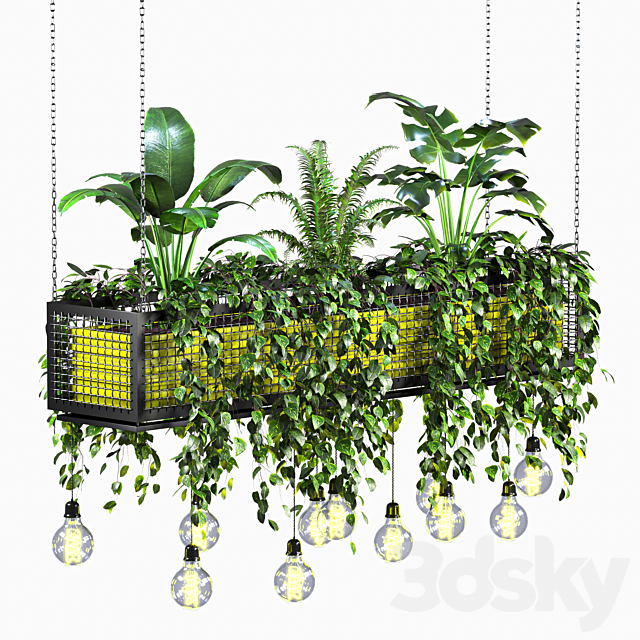 hanging plant 01 3ds Max - thumbnail 1