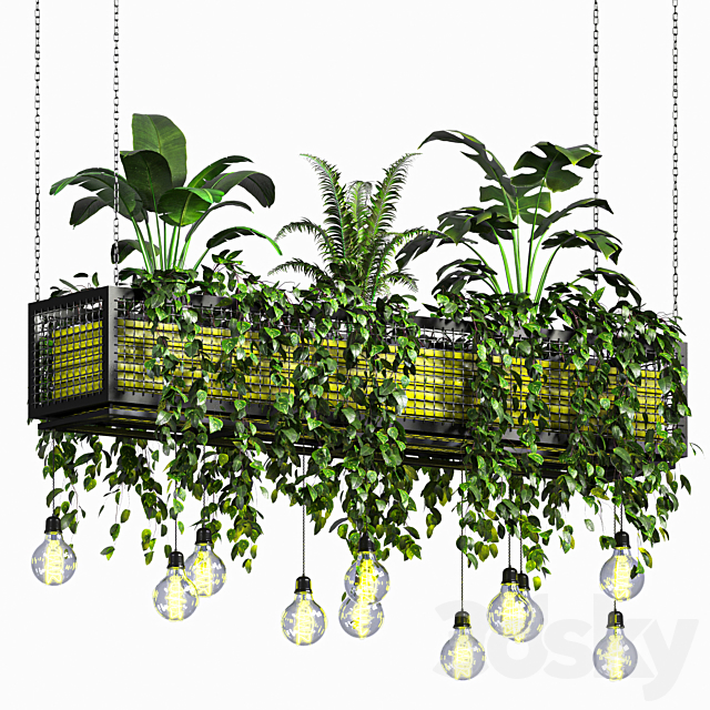 hanging plant 01 3ds Max - thumbnail 3