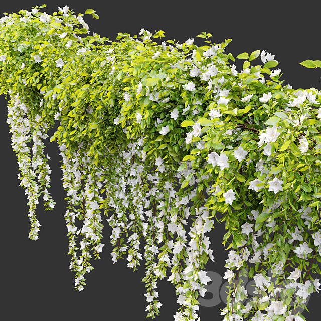 Hanging Plant 19 3DS Max Model - thumbnail 2