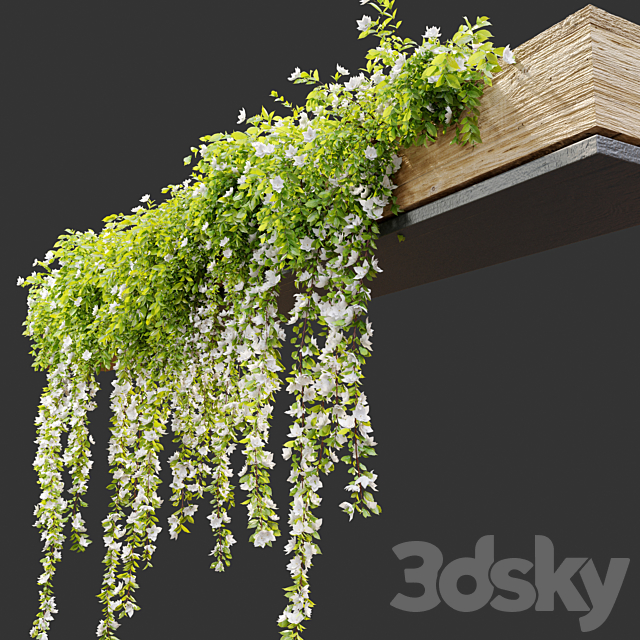 Hanging Plant 19 3DS Max Model - thumbnail 3