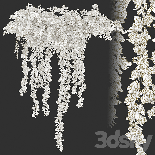 Hanging Plant 19 3DS Max Model - thumbnail 4