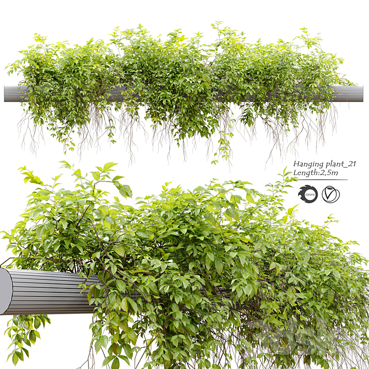 Hanging Plant 21 3DS Max - thumbnail 1