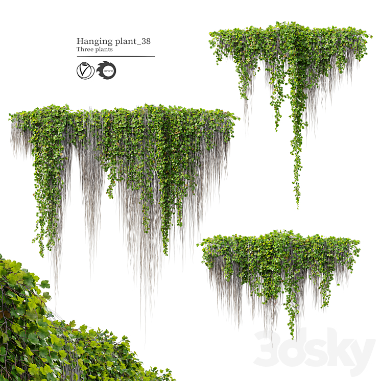 Hanging Plant 38 3DS Max Model - thumbnail 1
