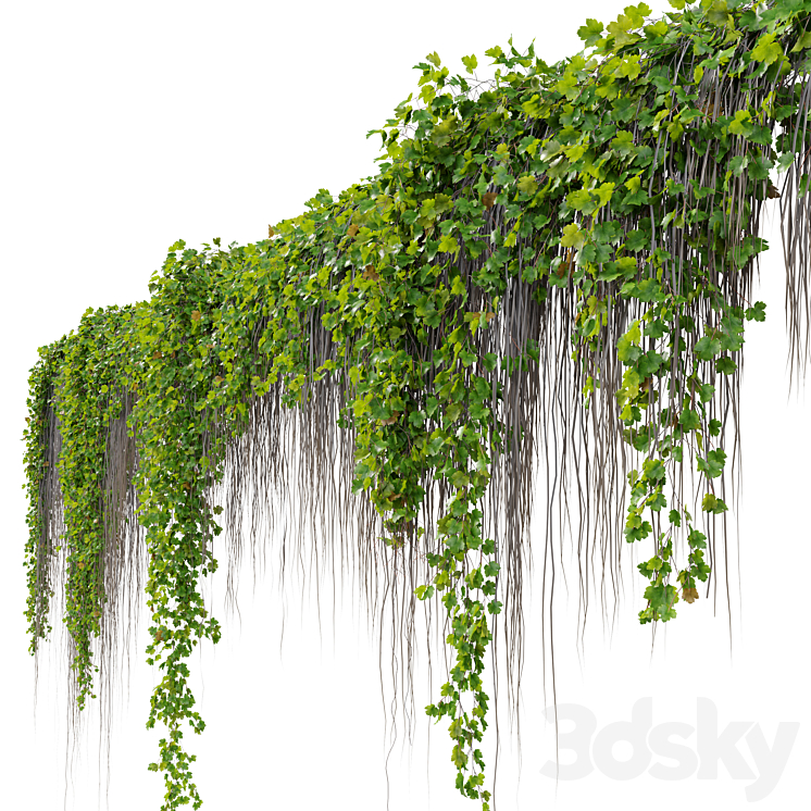Hanging Plant 38 3DS Max Model - thumbnail 2