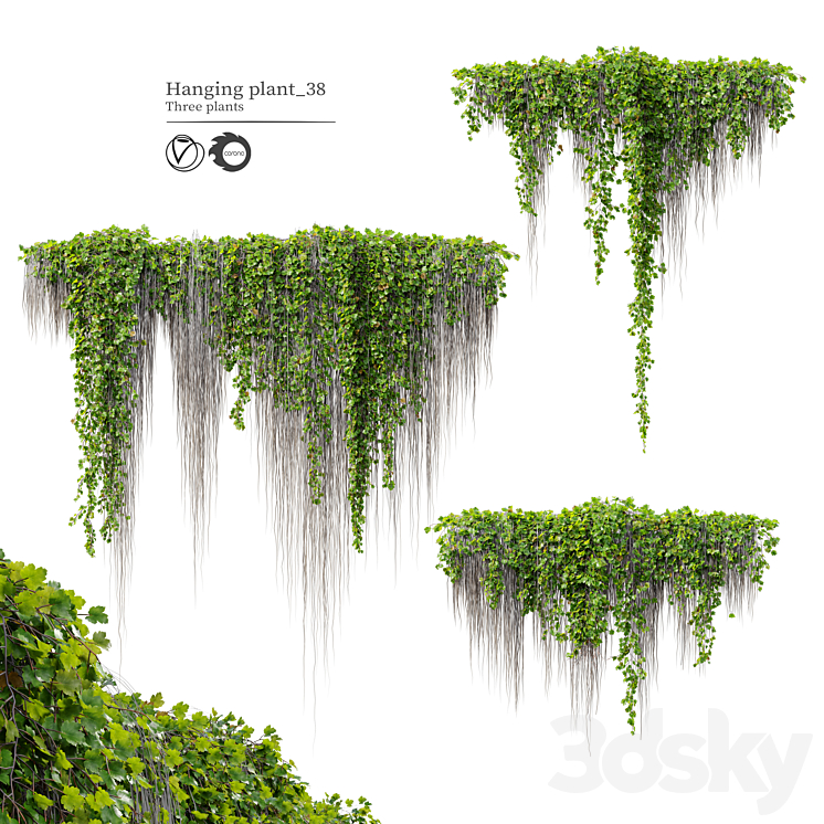 Hanging Plant 38 3DS Max - thumbnail 1