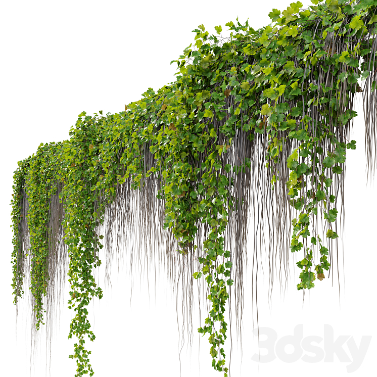 Hanging Plant 38 3DS Max - thumbnail 2