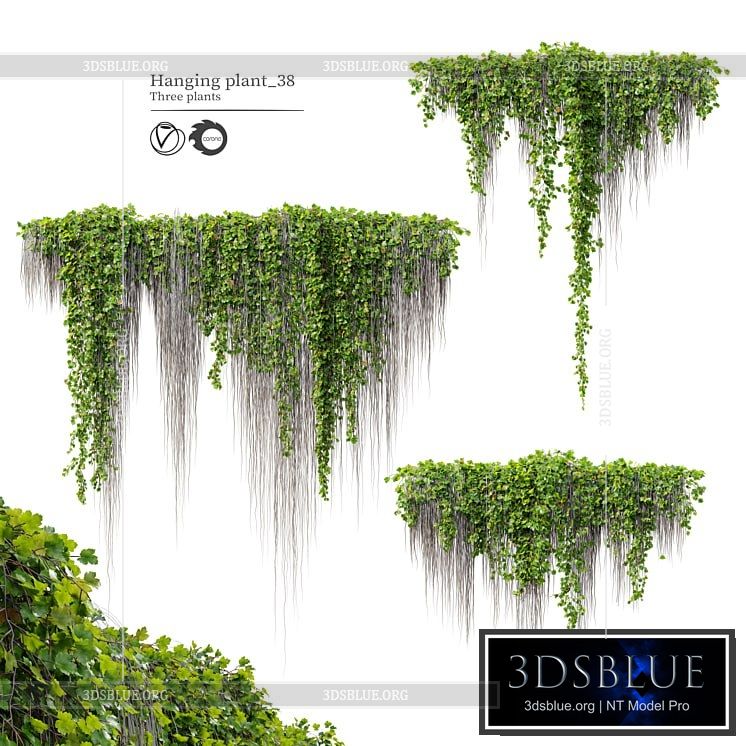 Hanging Plant 38 3DS Max - thumbnail 3