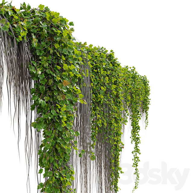 Hanging Plant 38 3DS Max Model - thumbnail 3