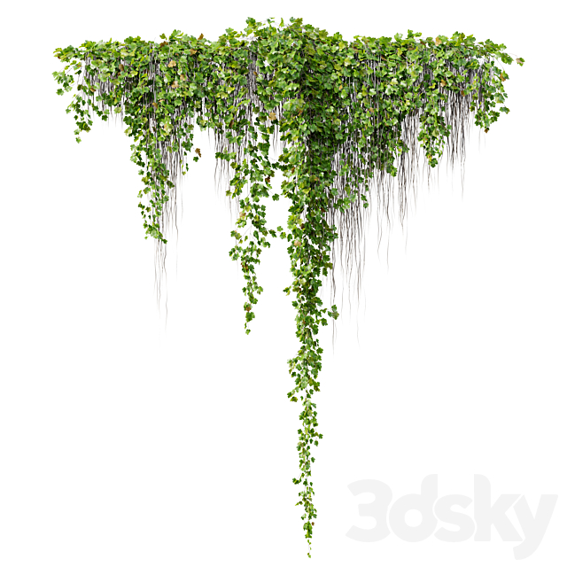 Hanging Plant 38 3DS Max Model - thumbnail 4