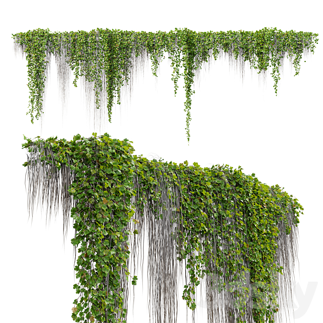 Hanging Plant 38 3DS Max Model - thumbnail 5