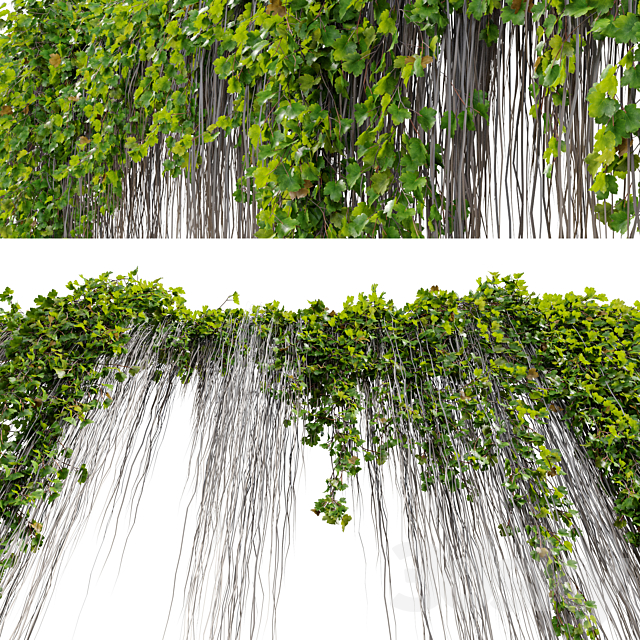 Hanging Plant 38 3DS Max Model - thumbnail 6