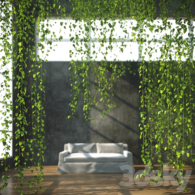 Hanging plant 3ds Max - thumbnail 3