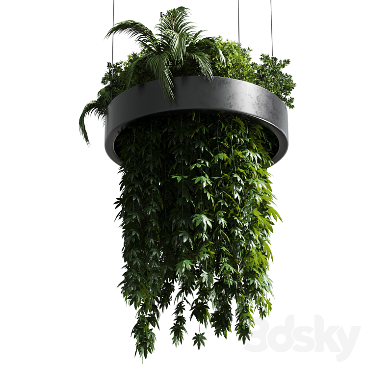 Hanging plant – indoor plant 292 3DS Max Model - thumbnail 1