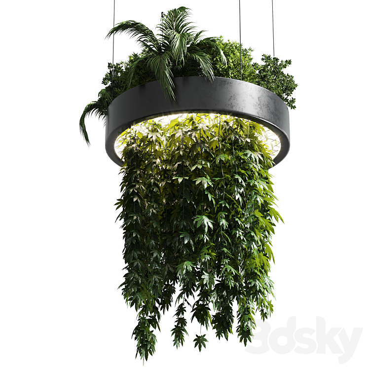 Hanging plant – indoor plant 292 3DS Max Model - thumbnail 2