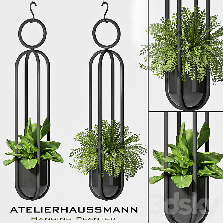 Hanging Planter -02 3DS Max - thumbnail 1