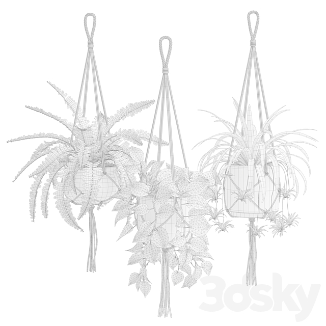 Hanging Plants 01 3DS Max Model - thumbnail 3