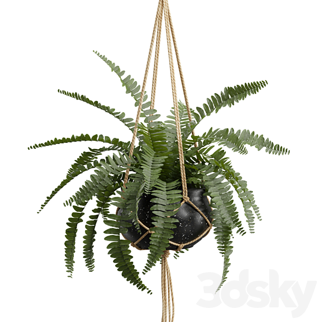 Hanging Plants 01 3DS Max Model - thumbnail 4