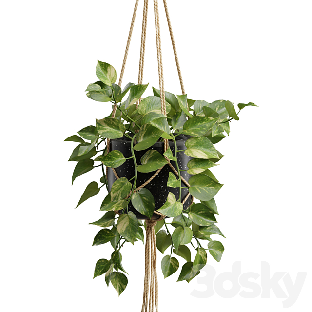 Hanging Plants 01 3DS Max Model - thumbnail 5