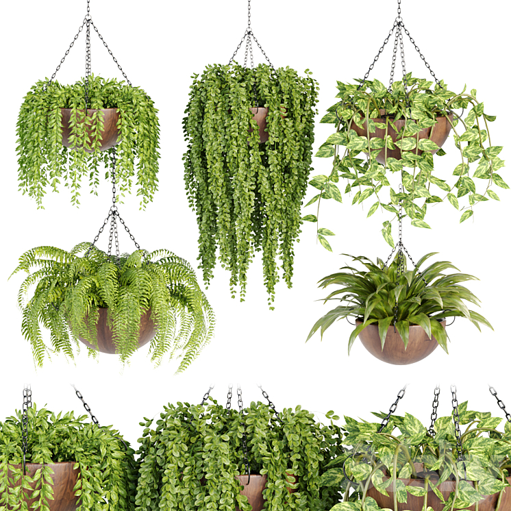 Hanging plants collection vol 33 3DS Max Model - thumbnail 1