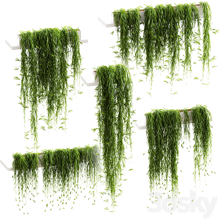 Hanging plants for shelves. 5 models. set 3 3DS Max - thumbnail 1