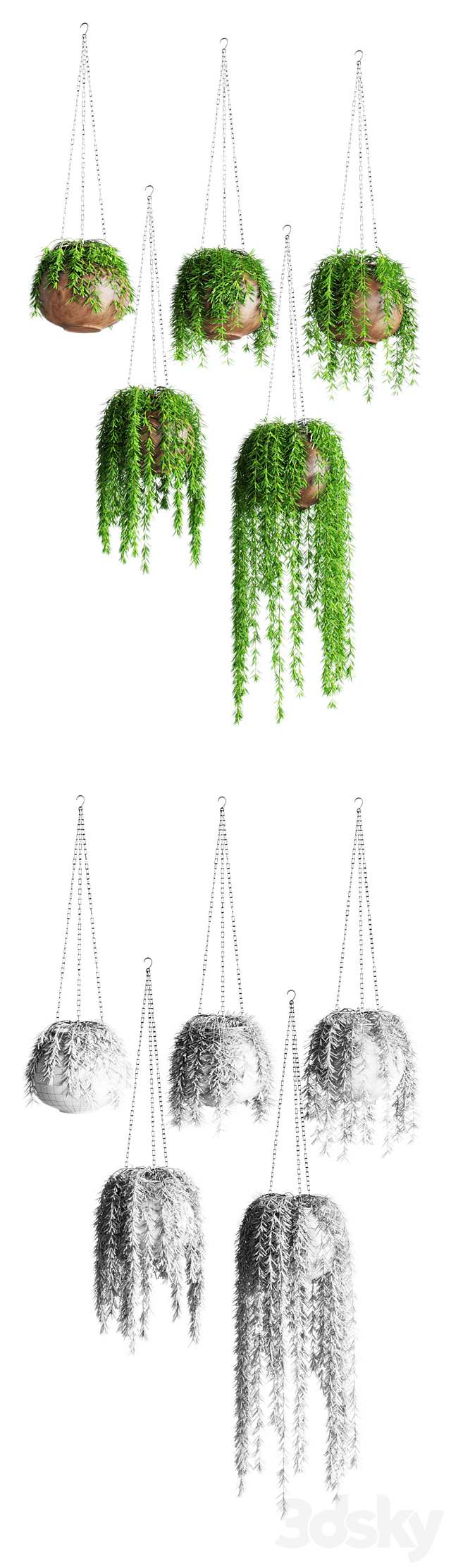 Hanging plants in pots 3DS Max Model - thumbnail 2