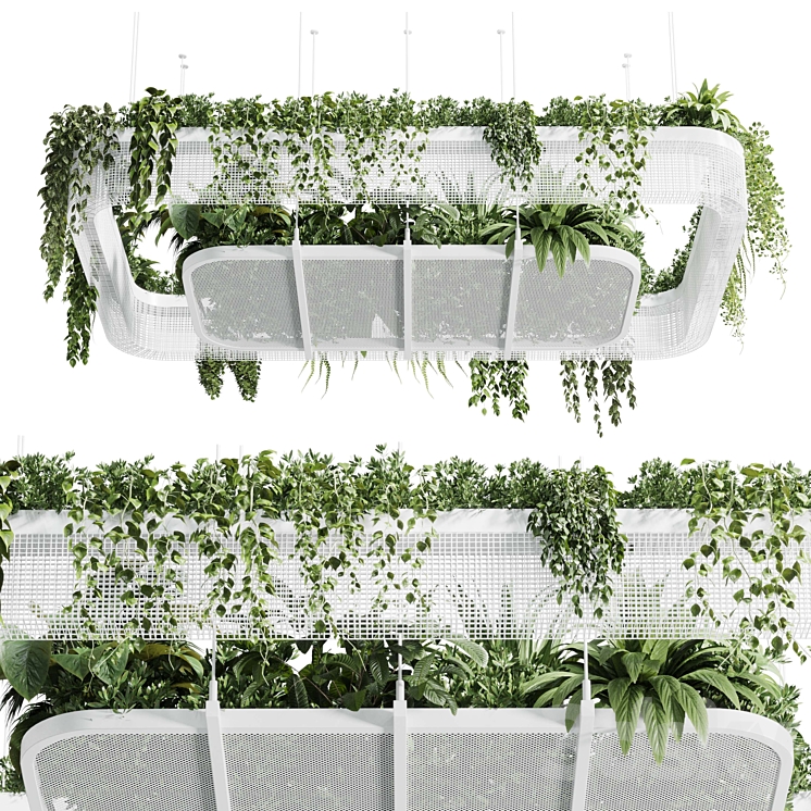 Hanging plants – indoor plant 323 corona 3DS Max Model - thumbnail 2