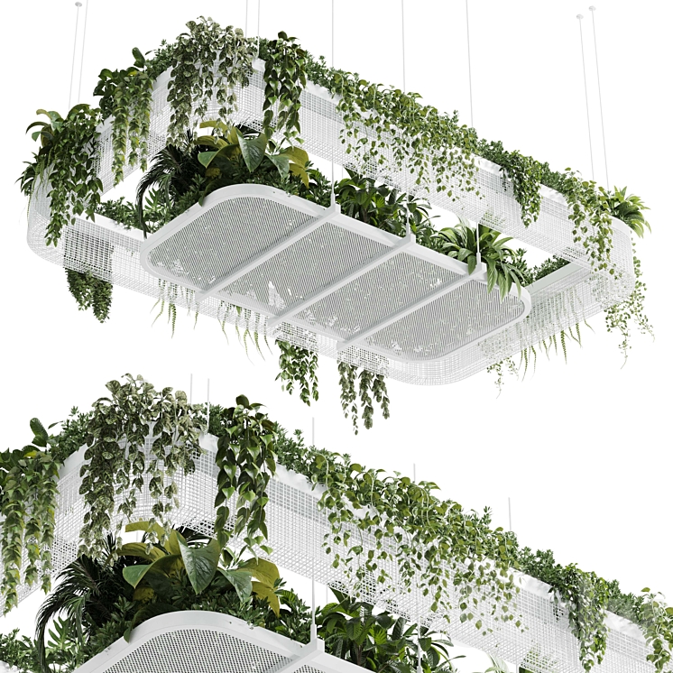 Hanging plants – indoor plant 323 corona 3DS Max Model - thumbnail 3