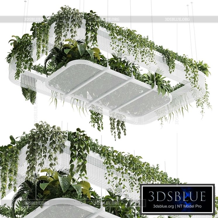 Hanging plants – indoor plant 323 vray 3DS Max - thumbnail 3