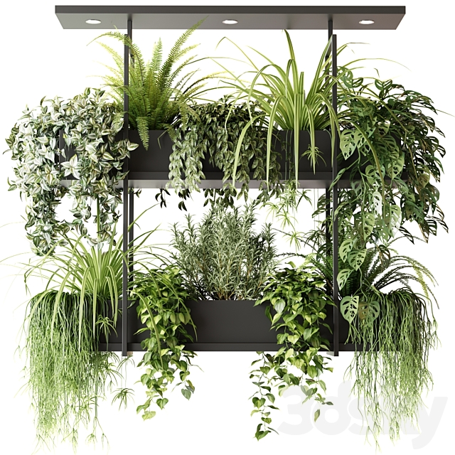 Hanging plants indoor plant hanging plants OSLO 3ds Max - thumbnail 1