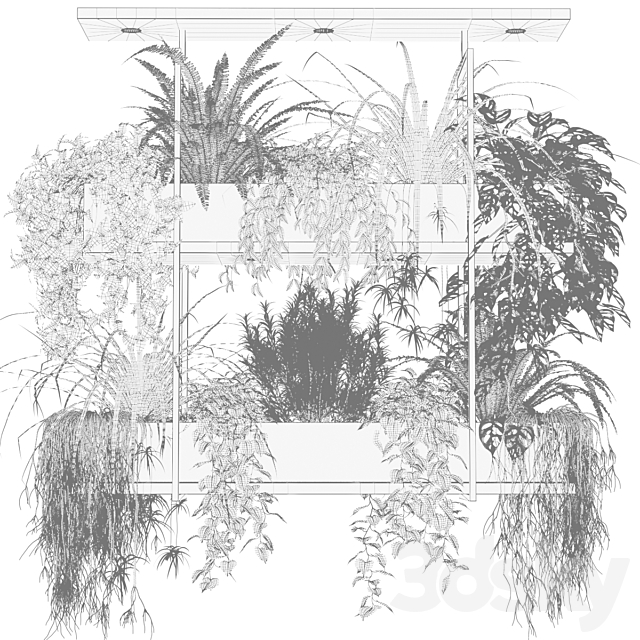 Hanging plants indoor plant hanging plants OSLO 3ds Max - thumbnail 3