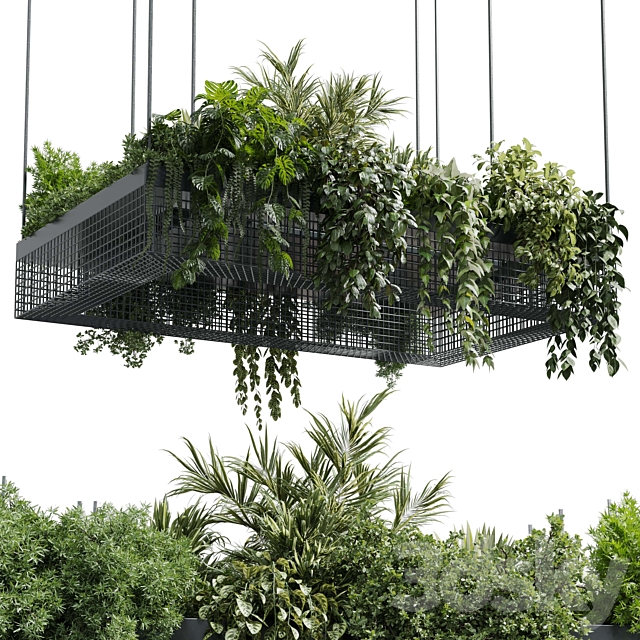 hanging plants – indoor plant set 447 Rectangle pendant pot vray 3ds Max - thumbnail 2