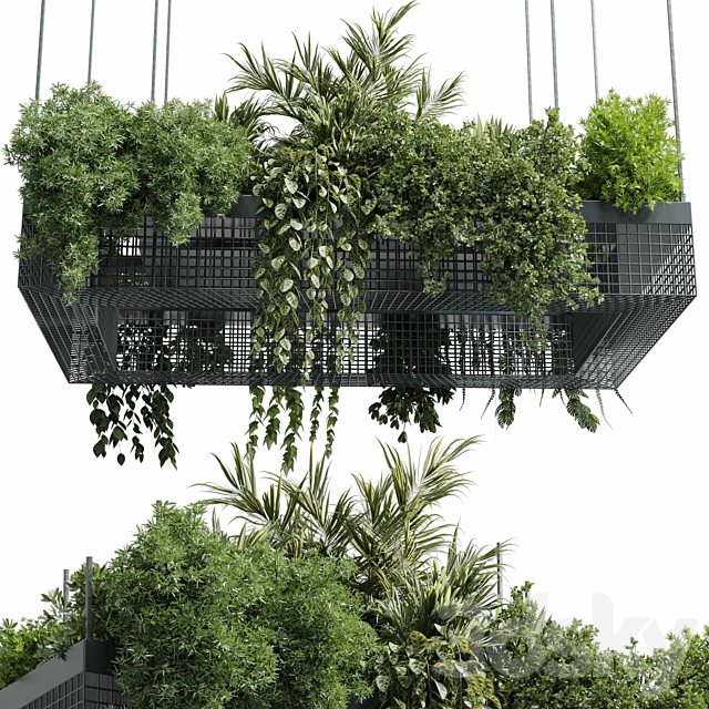 hanging plants – indoor plant set 447 Rectangle pendant pot vray 3ds Max - thumbnail 3