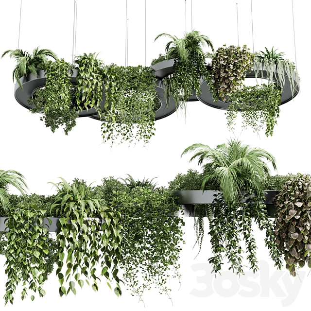 Hanging Plants – Indoor plants 309 3ds Max - thumbnail 2