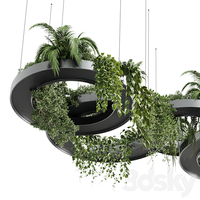 Hanging Plants – Indoor plants 309 3ds Max - thumbnail 3