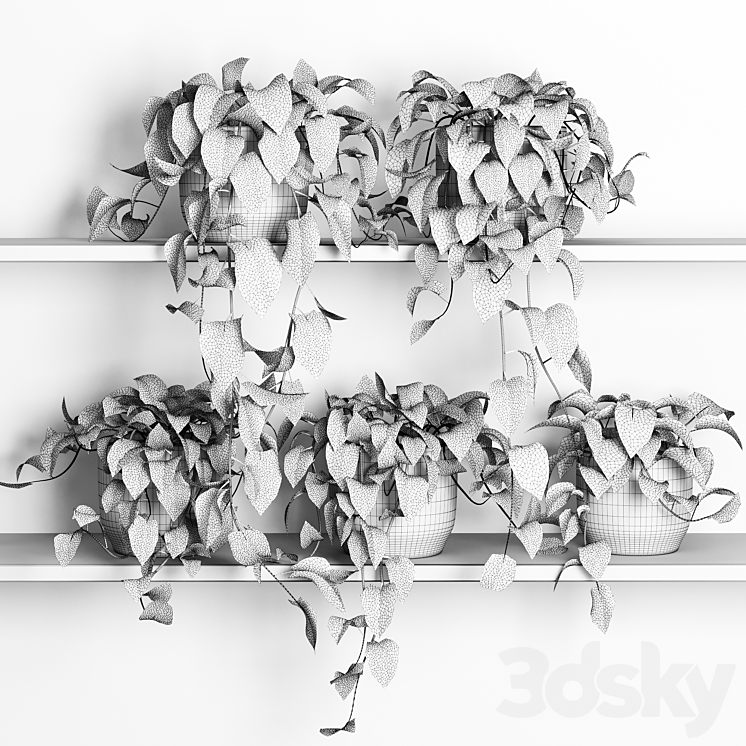 hanging plants on shelf 3 3DS Max Model - thumbnail 2