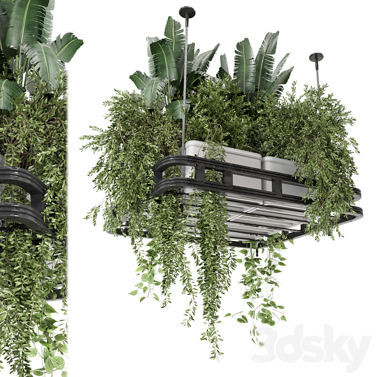 Hanging Plants Set in Concrete Pot – Set 1113 3DS Max Model - thumbnail 1