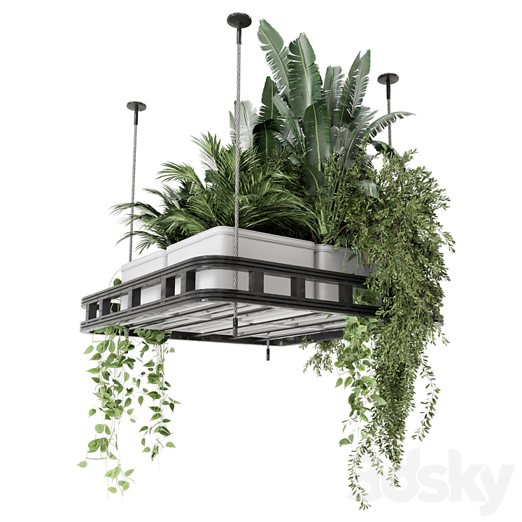 Hanging Plants Set in Concrete Pot – Set 1113 3DS Max Model - thumbnail 2
