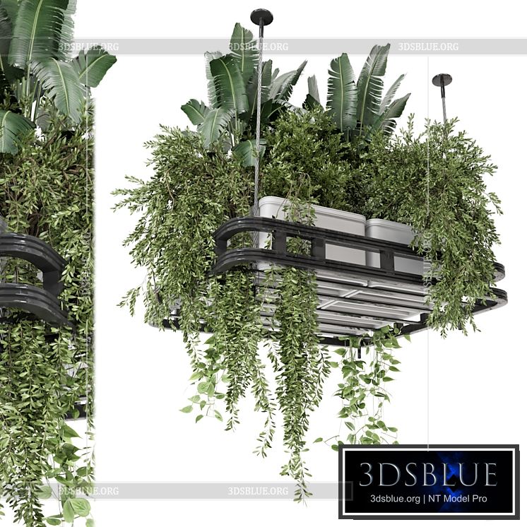 Hanging Plants Set in Concrete Pot – Set 1113 3DS Max - thumbnail 3