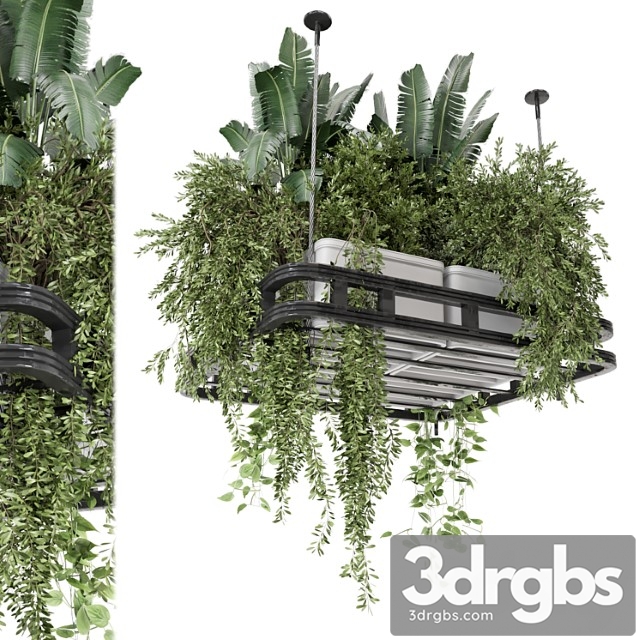 Hanging plants set in concrete pot – set 1113 - thumbnail 1