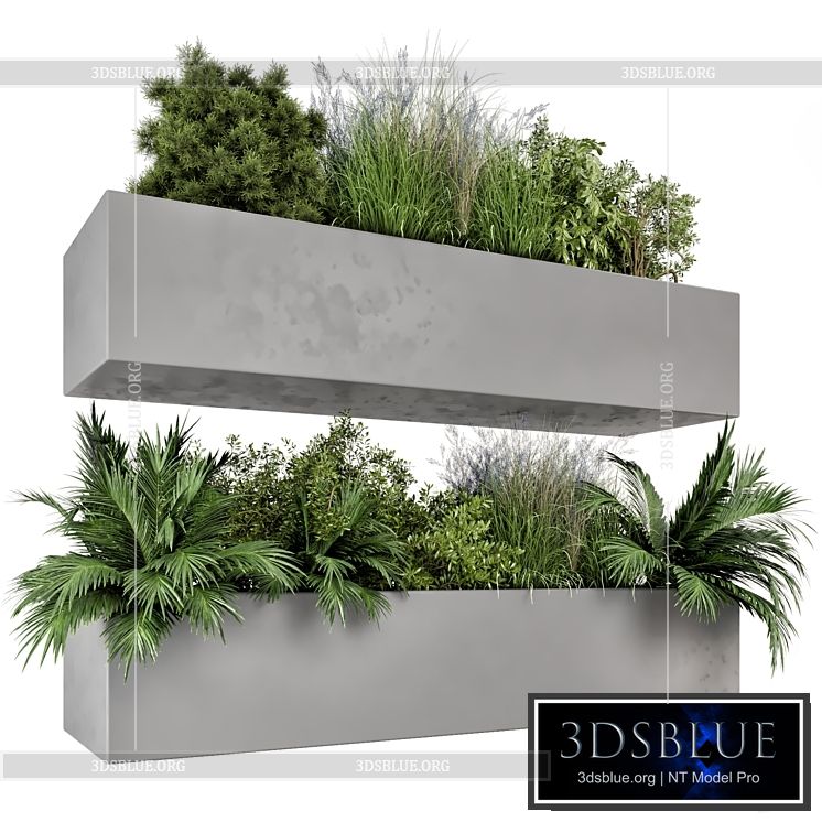 Hanging Plants Set in Gray Pot – Set 717 3DS Max - thumbnail 3