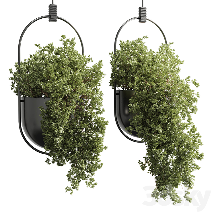 hanging pot collection indoor outdoor Indoor plants15-metal bax vase corona 3DS Max Model - thumbnail 3